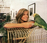 N.Y. apartment serie with Wolfie - swedish DET NYE 01/87 #3 by Robert Maass