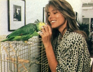 german unknown - N.Y. apartment with Wolfie