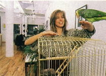 dutch HITKRANT 08/87 #32 - N.Y. apartment with Wolfie